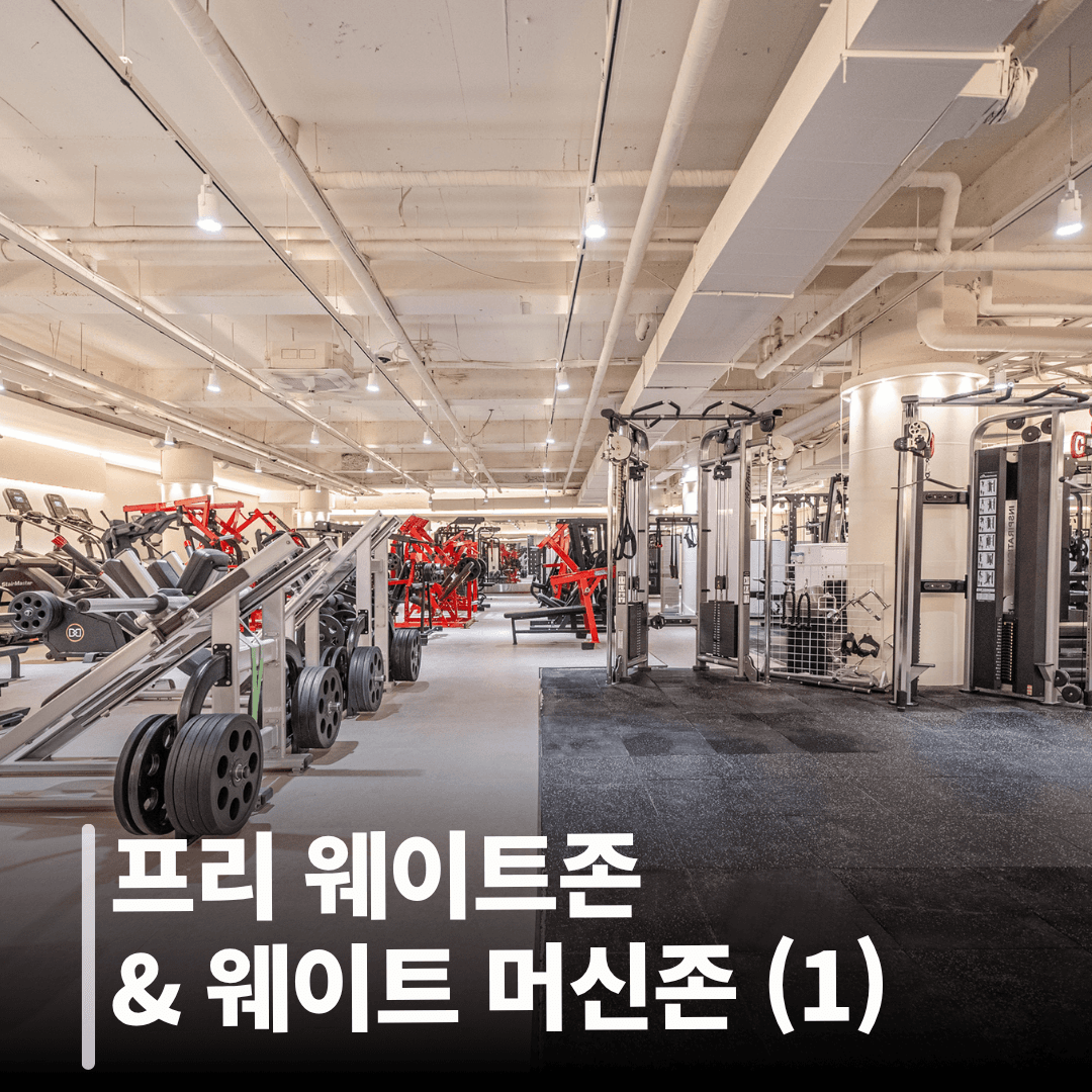 프리 웨이트존 & 웨이트 머신존 (1)
