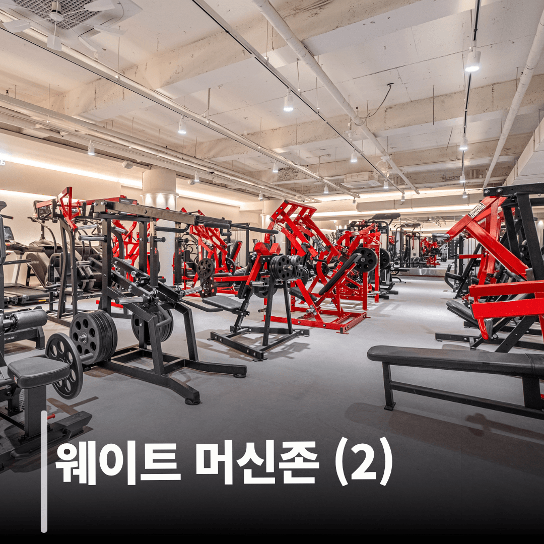 웨이트 머신존 (2)