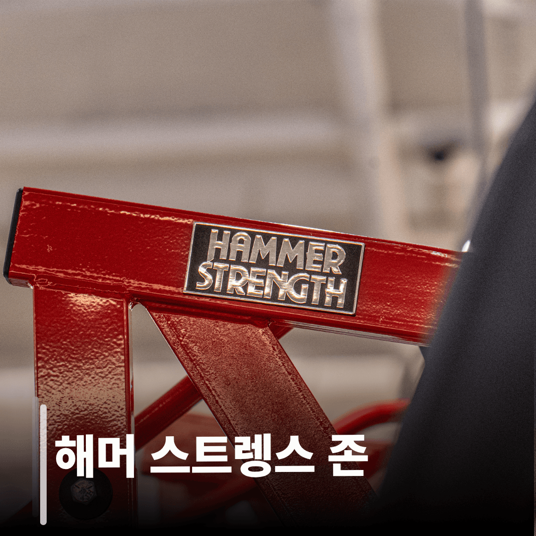 해머 스트렝스 존