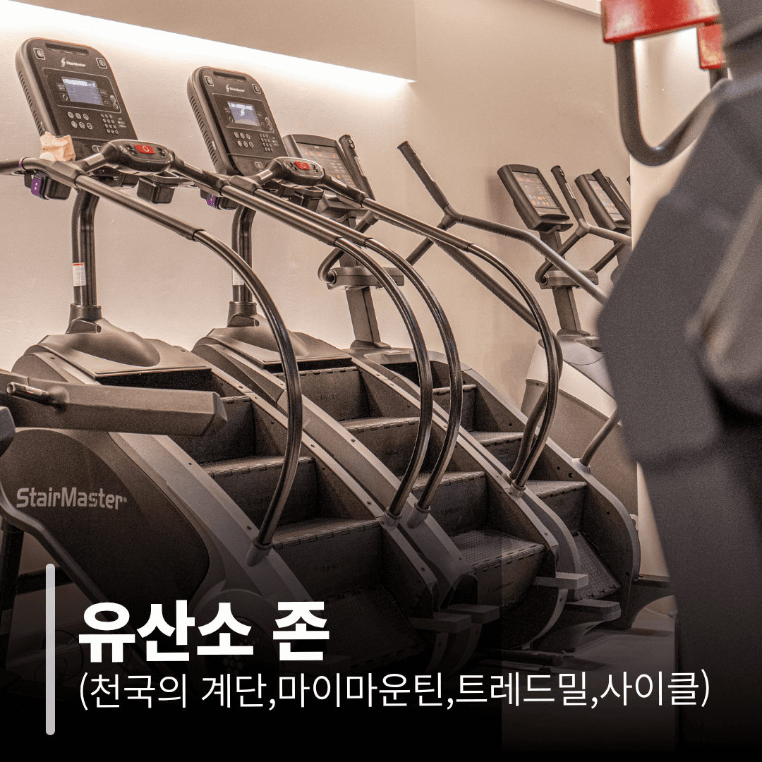 유산소 존 (천국의 계단, 마이마운틴, 트레드밀, 사이클)