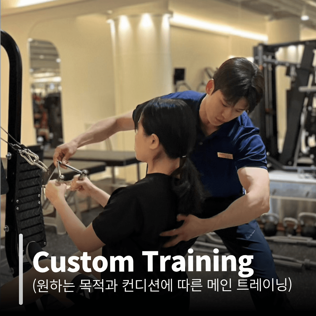 Custom Training (원하는 목적과 컨디션에 따른 메인 트레이닝)
